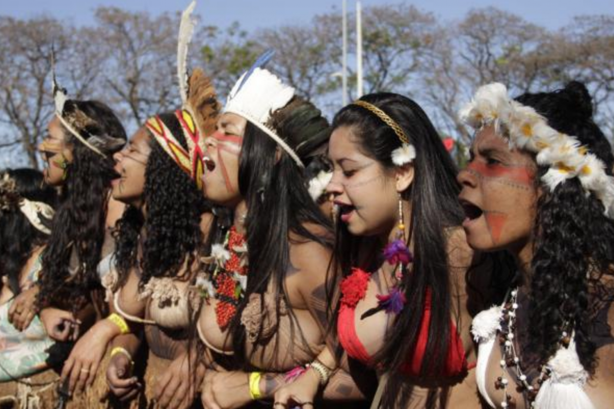 Organizações de Mulheres Indígenas no Brasil: resistência e protagonismo