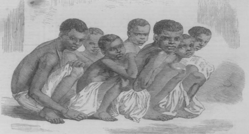 Plataforma Slave Societies Digital Archive: documentos sobre escravidão nas Américas