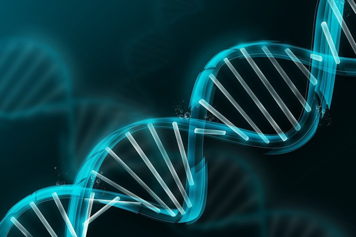 O polêmico projeto para criar do zero DNA humano artificial