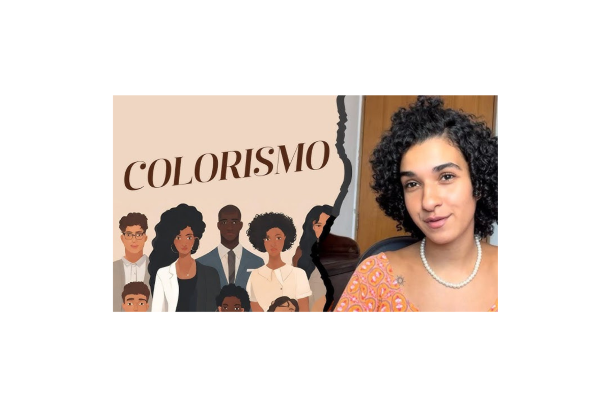 Noção de parditude é equivocada e representa regressão no debate racial do país