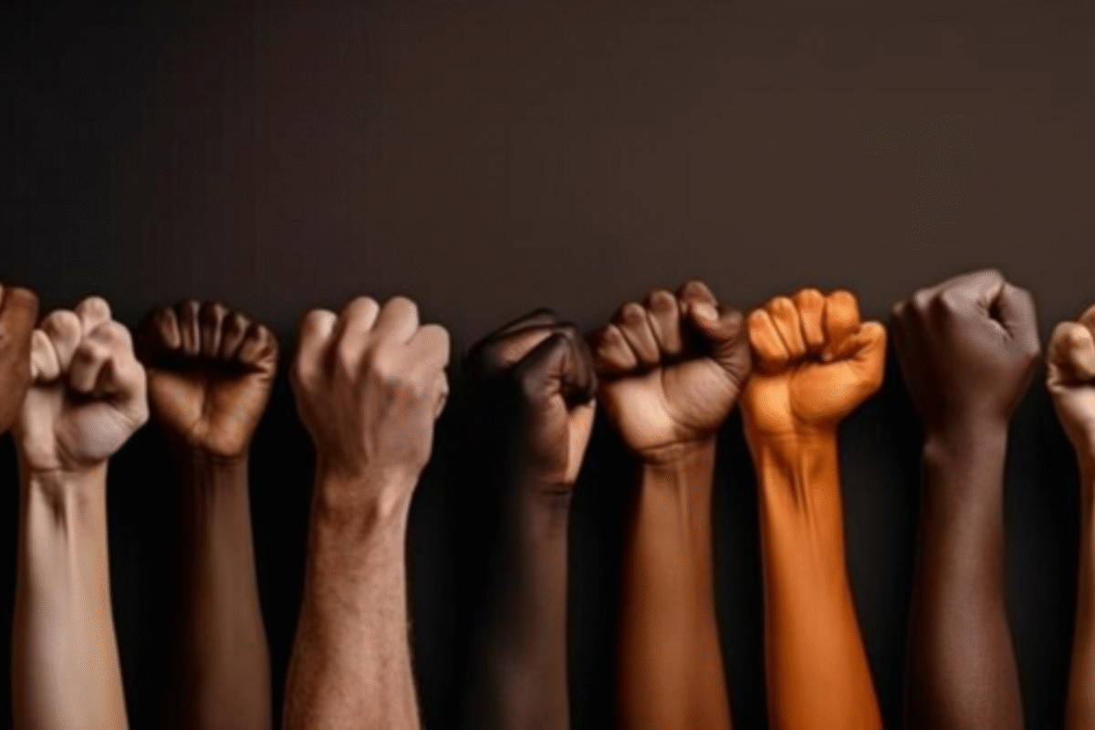 O renascimento do mulato: como se constrói (e se disputa) o que é ser pardo no Brasil