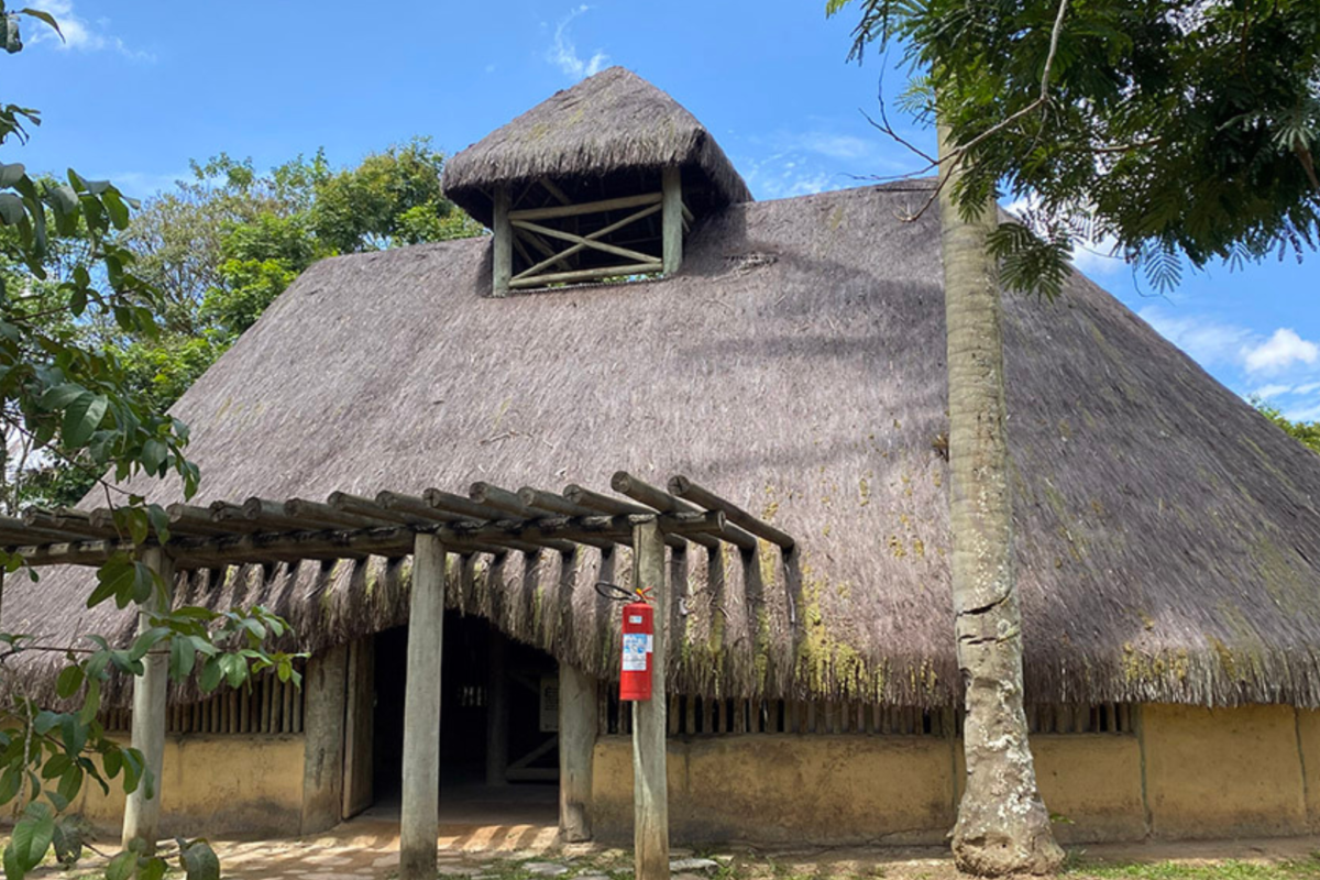 Quilombo dos Palmares: quando a organização coletiva desafiou a colônia