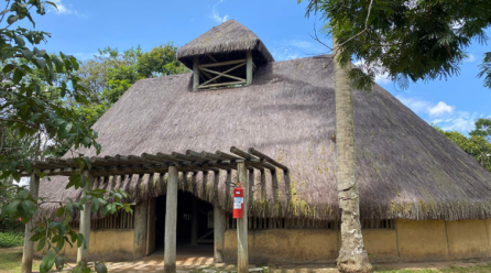 Quilombo dos Palmares: quando a organização coletiva desafiou a colônia