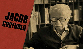 Da luta contra o nazismo à renovação historiográfica: o legado de Jacob Gorender